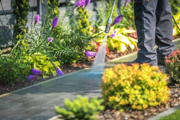 Best Pool Deck Cleaning  in Collierville, CA