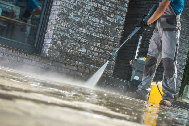 Best Animal Enclosure Cleaning  in Collierville, CA